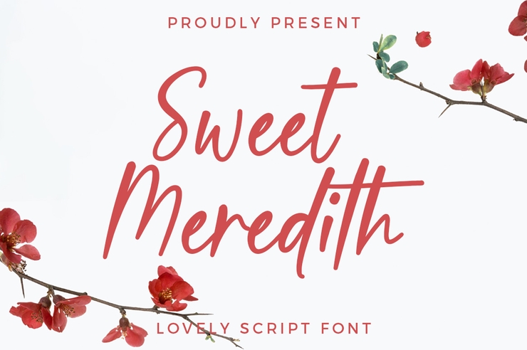 Sweet Meredith字体 3