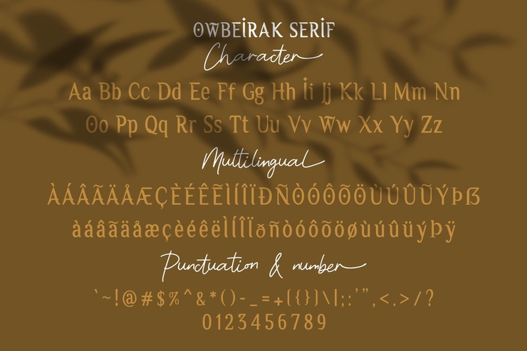 Owbeirak Serif字体 3