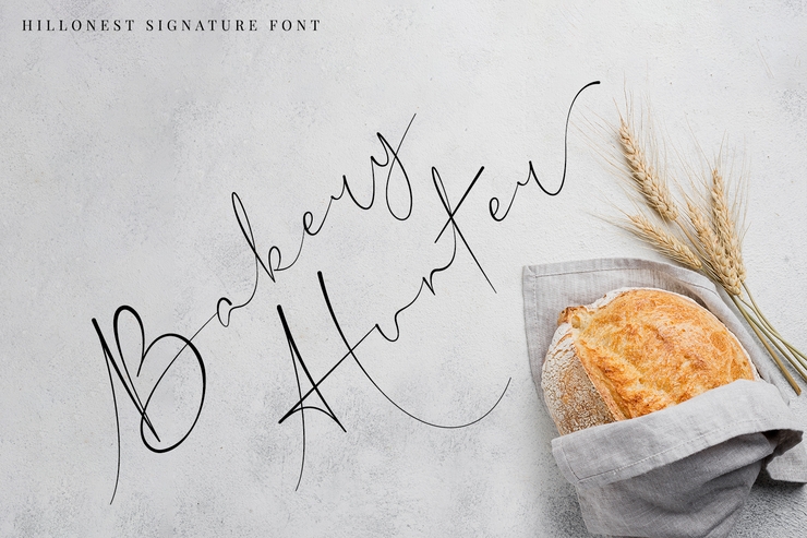 Hillonest - Modern Signature Script字体 9