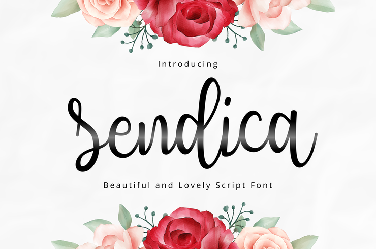 Sendica字体 2