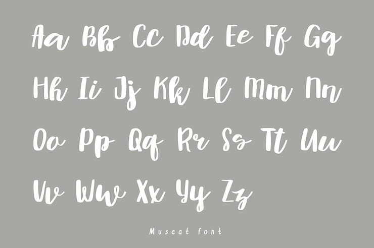 Muscat字体 3