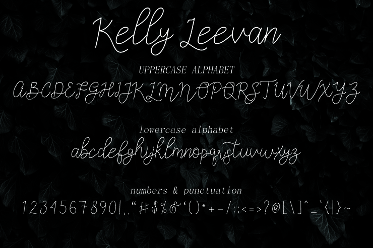Kelly Leevan字体 1