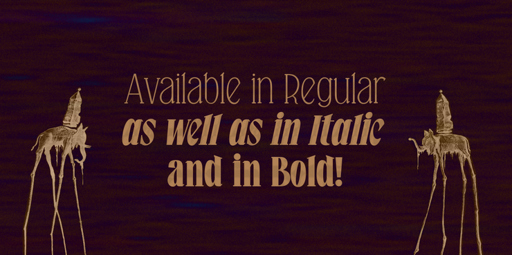 Falkin Serif字体 1