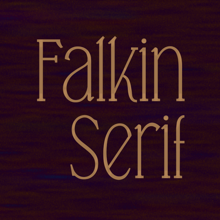 Falkin Serif字体 3