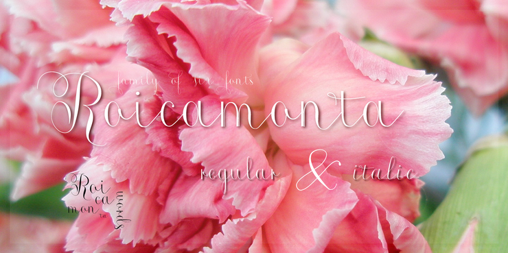 Roicamonta Words字体 1