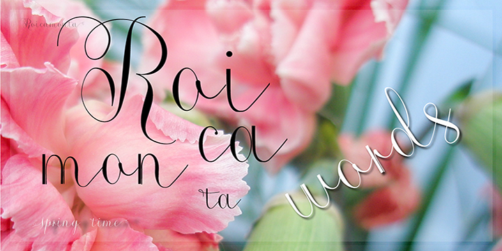 Roicamonta Words字体 5