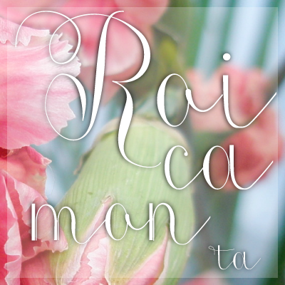 Roicamonta Words字体 6