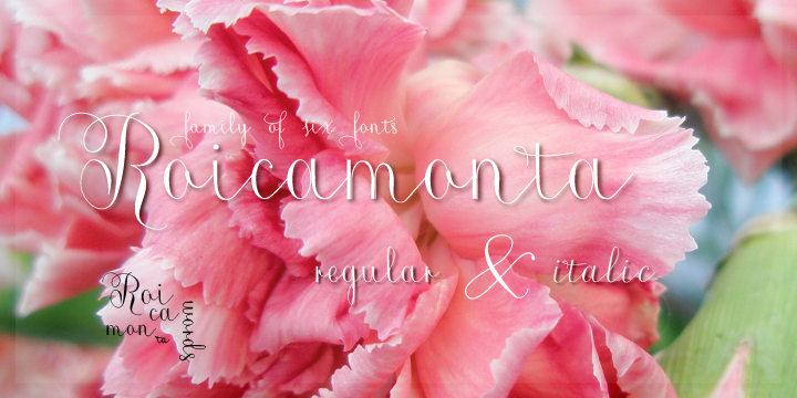 Roicamonta Words字体 7