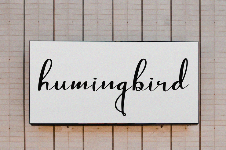 Thousand Sunnygo字体 7