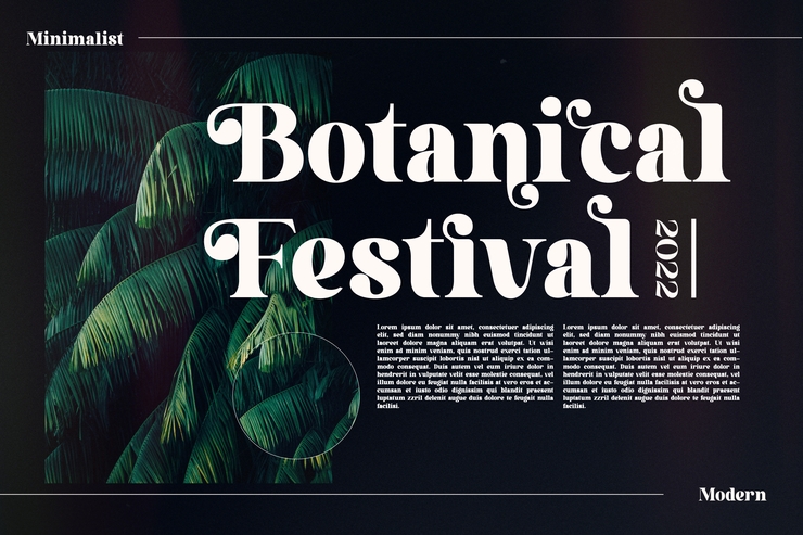 Aloka Gikairo字体 8