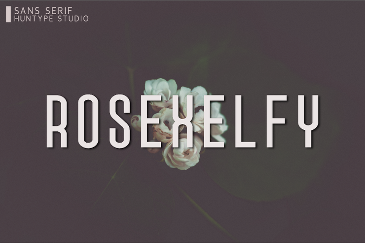 Rosexelfy字体 1