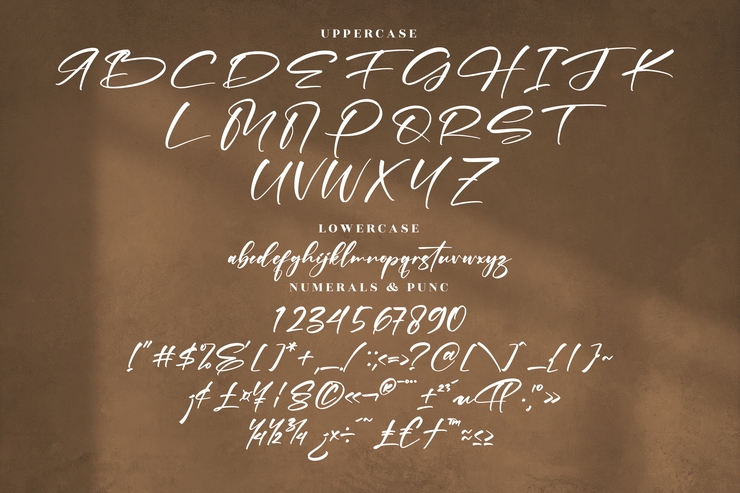 Pettrick Belinst字体 7