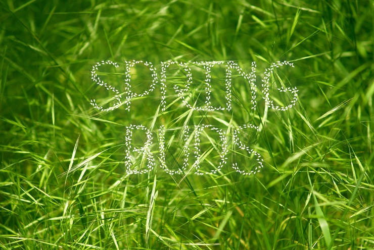 HKH Spring Buds字体 3