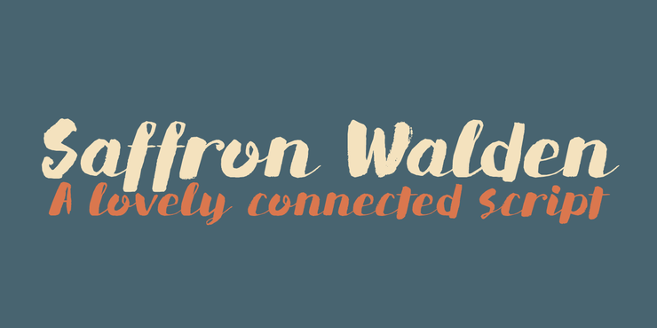 DK Saffron Walden字体 1