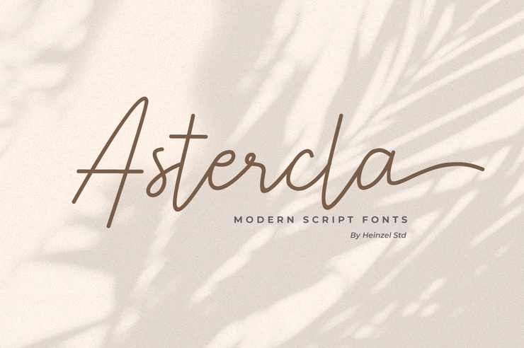 Astercla字体 9