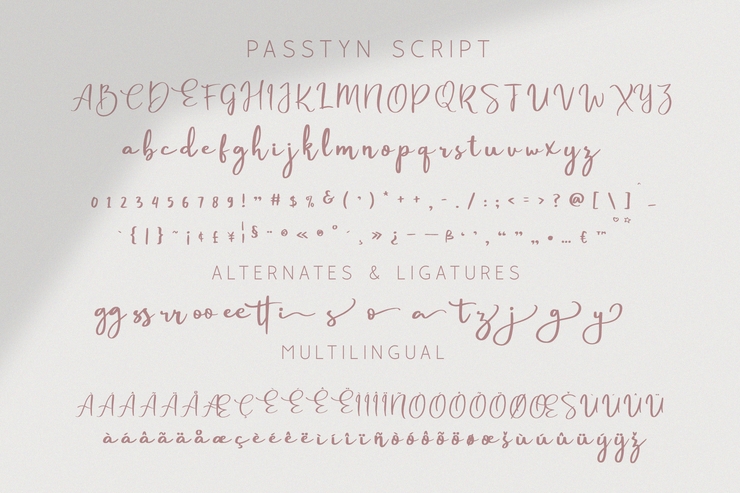 Passtyn Script字体 8