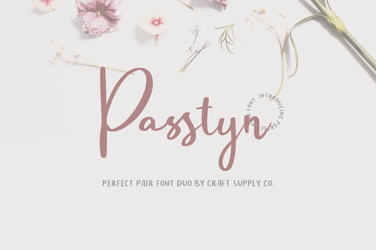 Passtyn Script字体 9