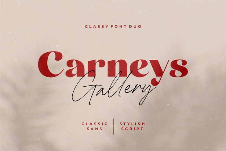 Carneys Gallery字体 2
