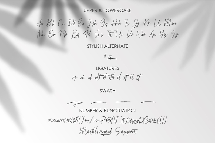 Astagina Signature字体 4