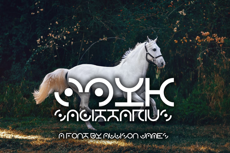 Zdyk Sagittarius字体 1