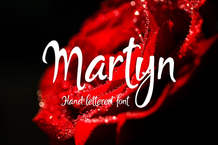 Martyn字体 3
