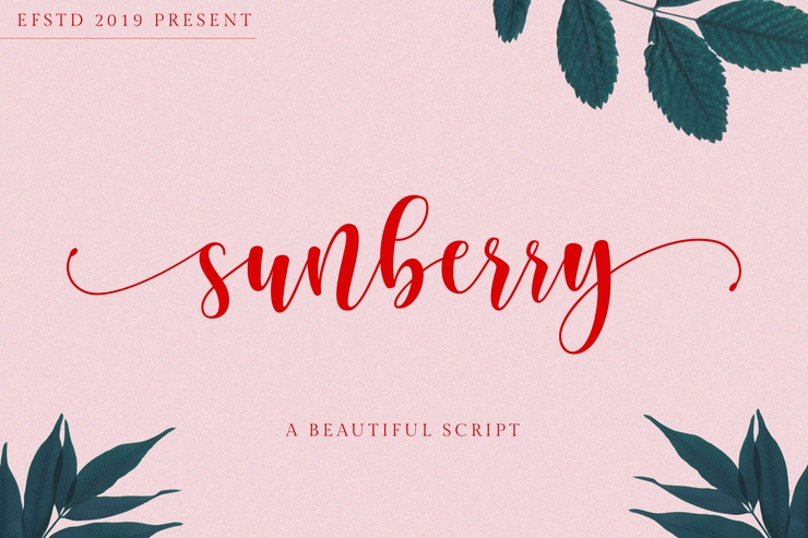 Sunberry字体 1