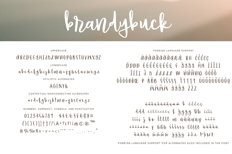 Brandybuck字体 1