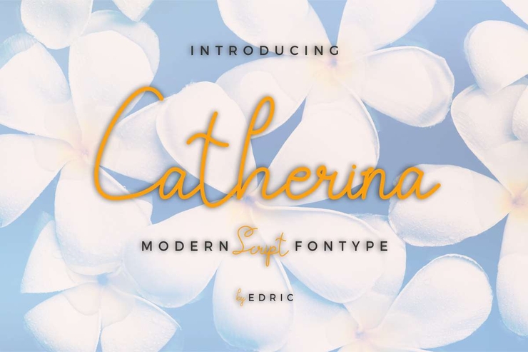 Catherina字体 6