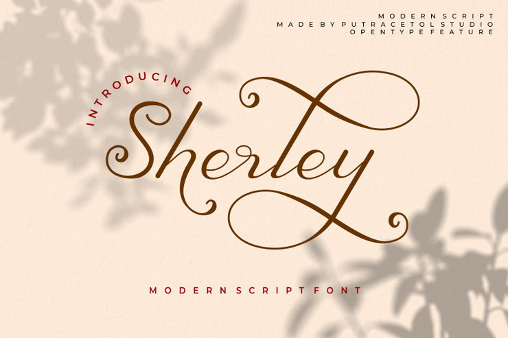 Sherley字体 1