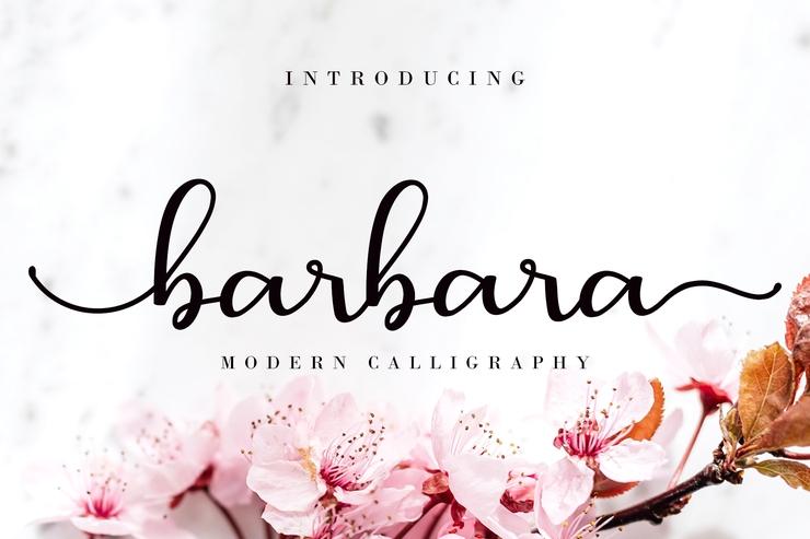 Barbara Calligraphy字体 8