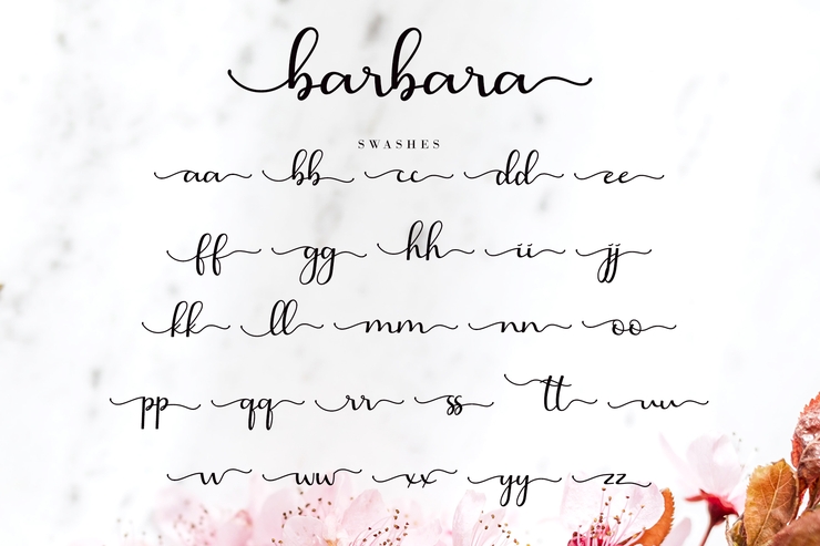 Barbara Calligraphy字体 9