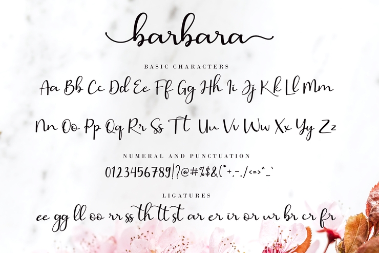 Barbara Calligraphy字体 10