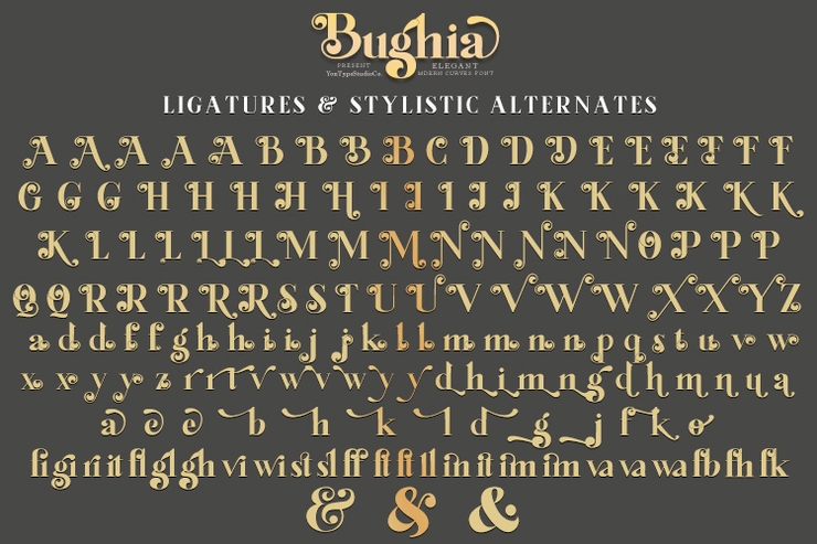 Bughia字体 9