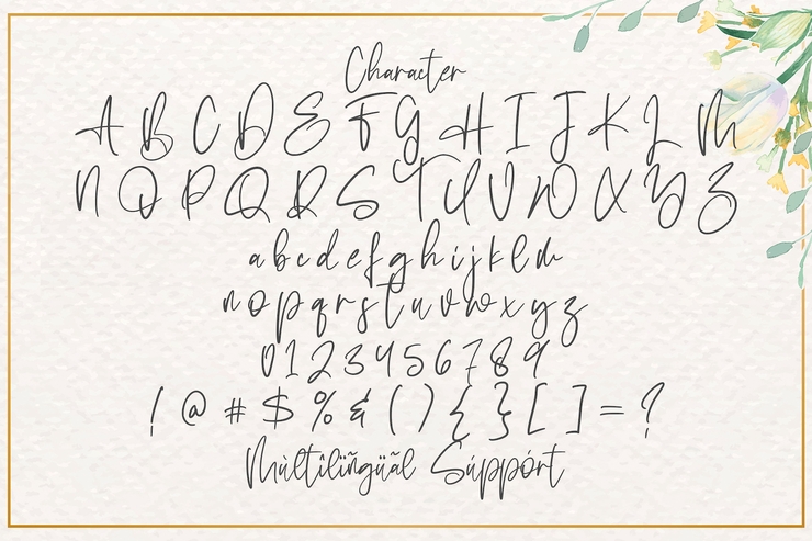 Sabina Angellica字体 4