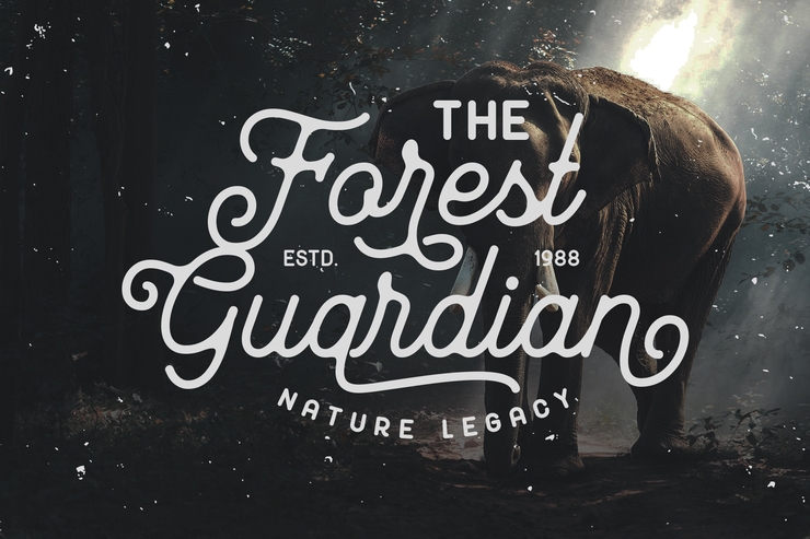 Mayhena Inky字体 3