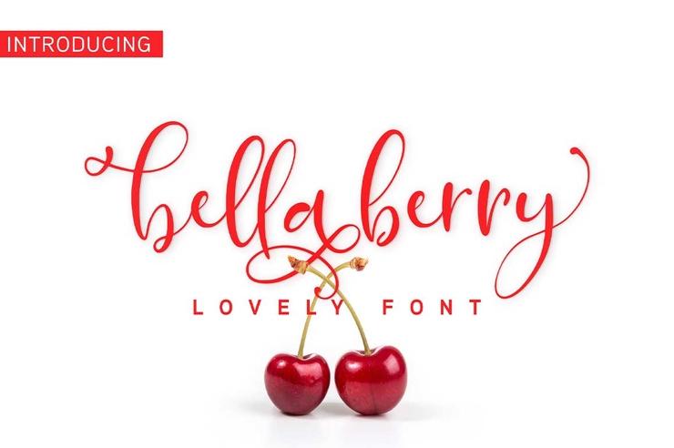 Bellaberry字体 1