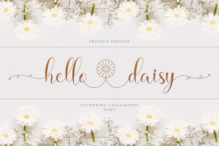 Hello Daisy - Flowering Script字体 4