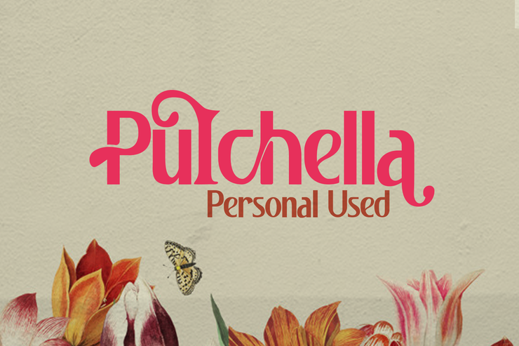 Pulchella字体 2