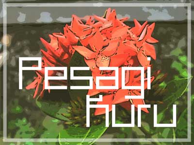 Pesagi Kuru字体 2