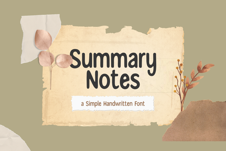 Summary Notes字体 1