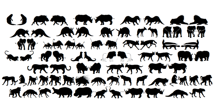 Afrika Wildlife B Mammals2字体 1