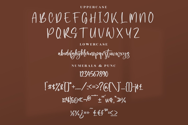 Rollection字体 5