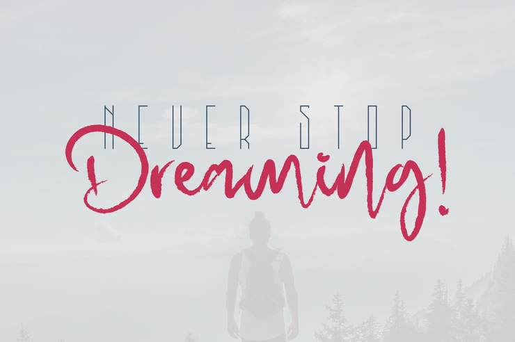 MadHouse Sans字体 2