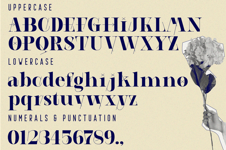 AEROBIC GEOMETRIC字体 4