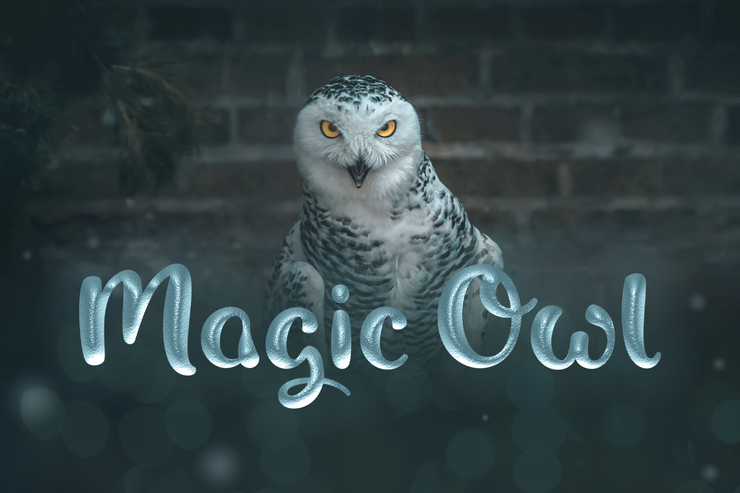 Magic Owl字体 5