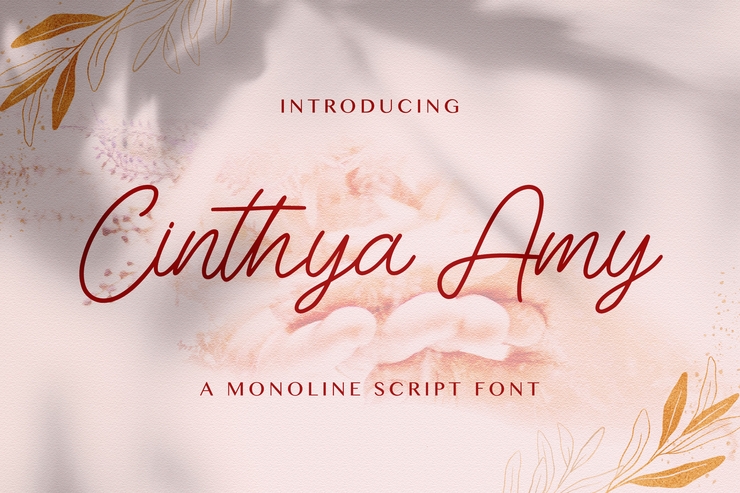 Cinthya Amy字体 7