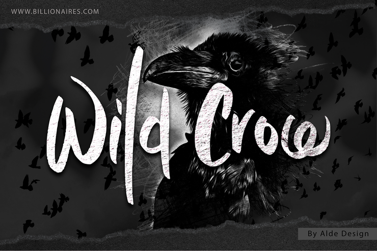 Wild Crow字体 9