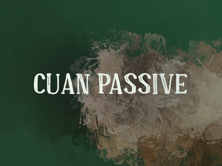 c Cuan Passive字体 1