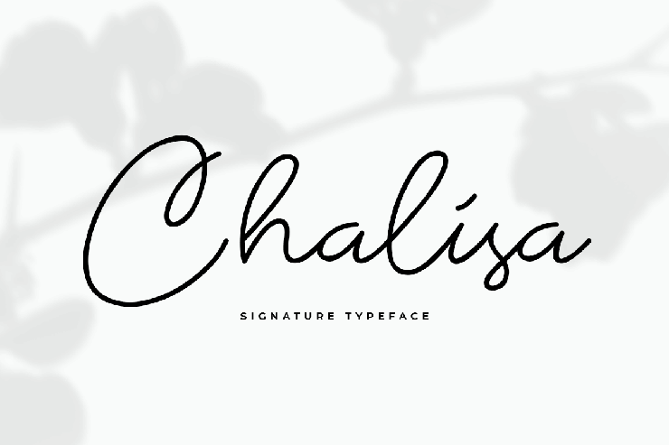 Chalisa Bold Italic字体 1