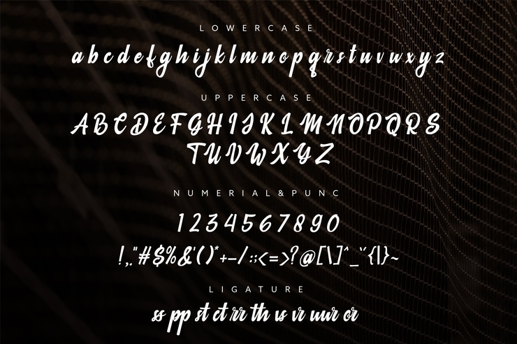 Barrbar字体 4